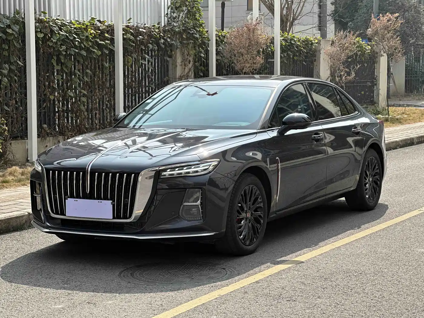 Hongqi H5 2023 2.0T Auto Smart Connect Flagship
