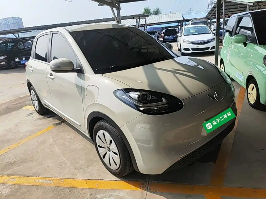 Wuling Motors Wuling Bingo 2023 2023 Model 203km Lite Enjoyment Edition