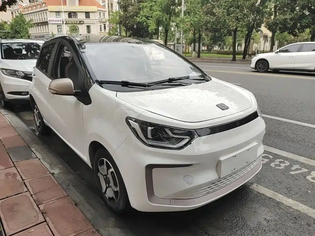 Sehol Flower Fairy 2022 2021 Jimei Edition 302km Luxury