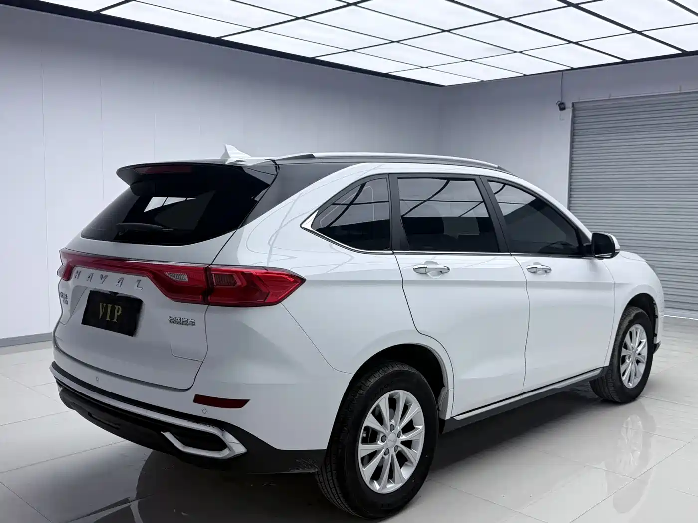 HAVAL M6