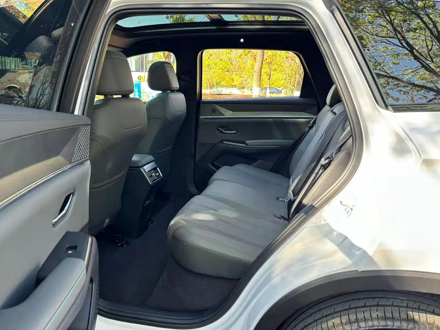 BYD SONGJIANG NEW ENERGY