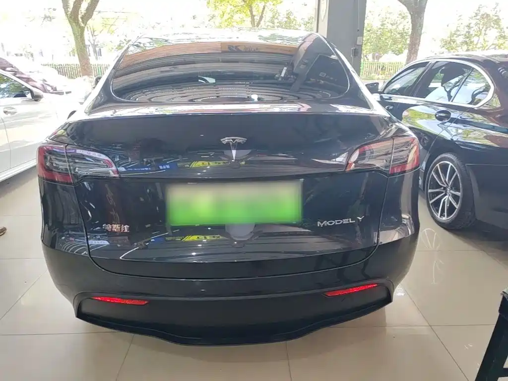 Tesla Model Y 2024 Rear-Wheel Drive Version 6
