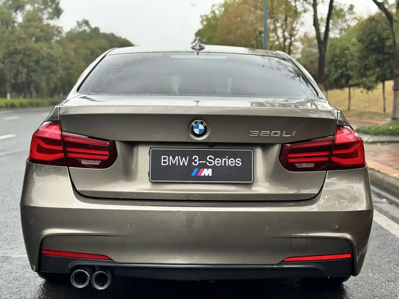 BMW 3 Series 2019 320Li M Sport Black Night Edition фото 8