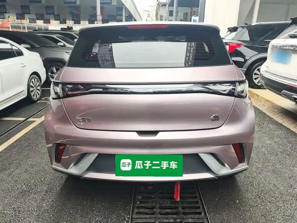 BYD Dolphin 2021 Model 405km Fashion Edition фото 6