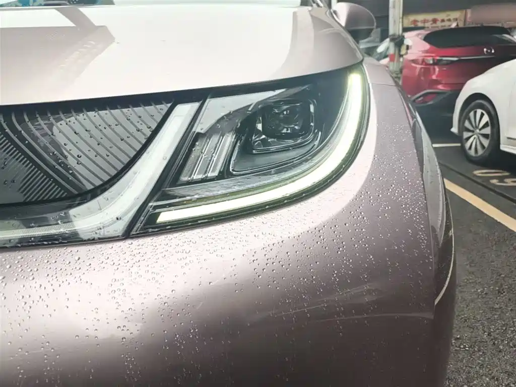 BYD Dolphin 2021 Model 405km Fashion Edition фото 24