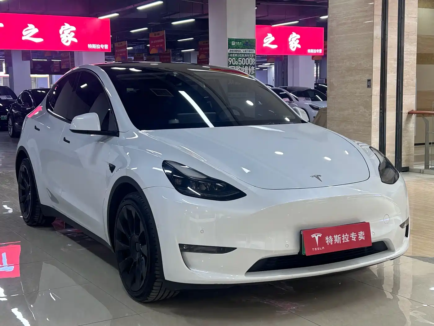 TESLA MODEL Y