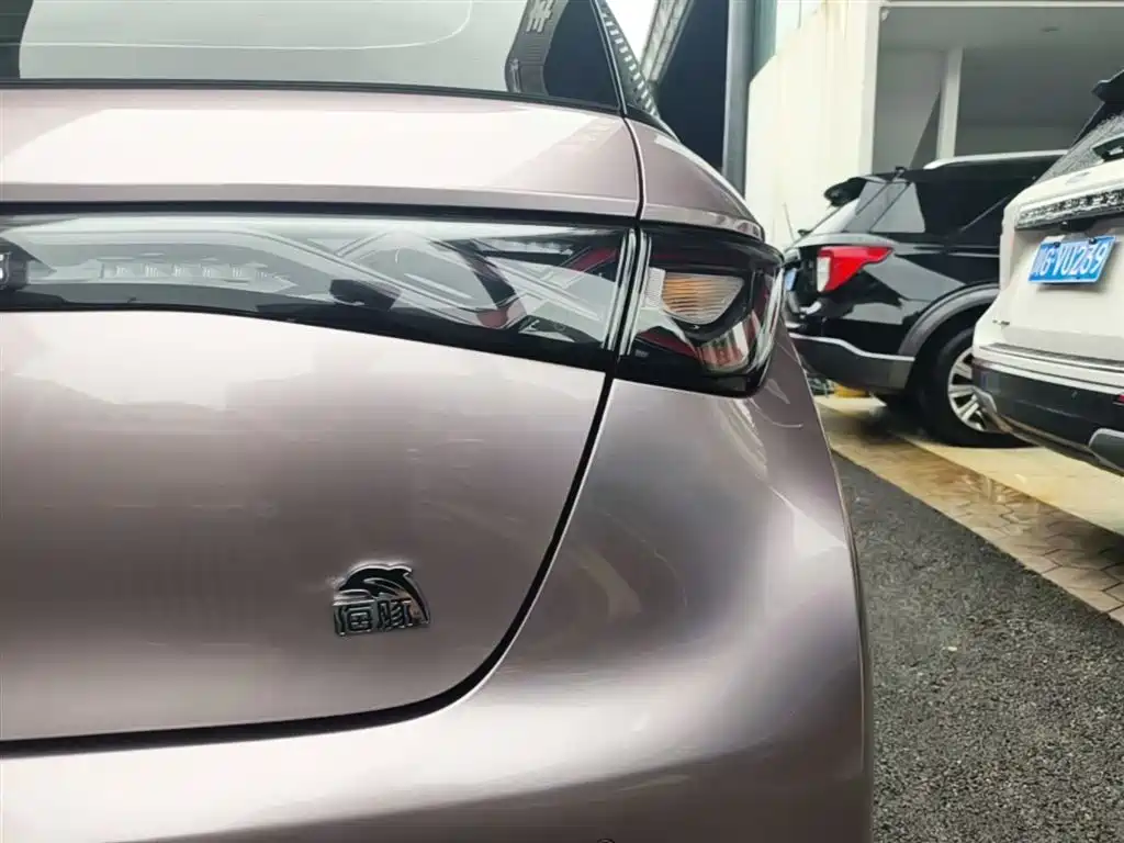 BYD Dolphin 2021 Model 405km Fashion Edition фото 8