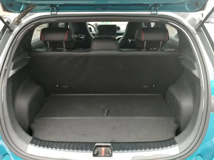 BYD Dolphin 2021 401km Knight Edition фото 4