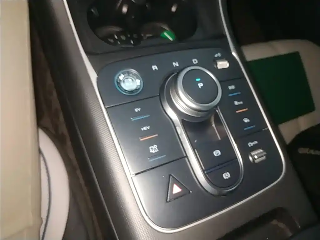 BYD Destroyer 05 2024 Glory Edition DM-i 55KM Luxury фото 14