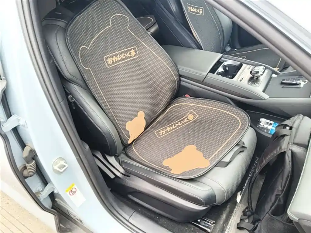 BYD Qin L 2024 DM-i 80KM Superior фото 25