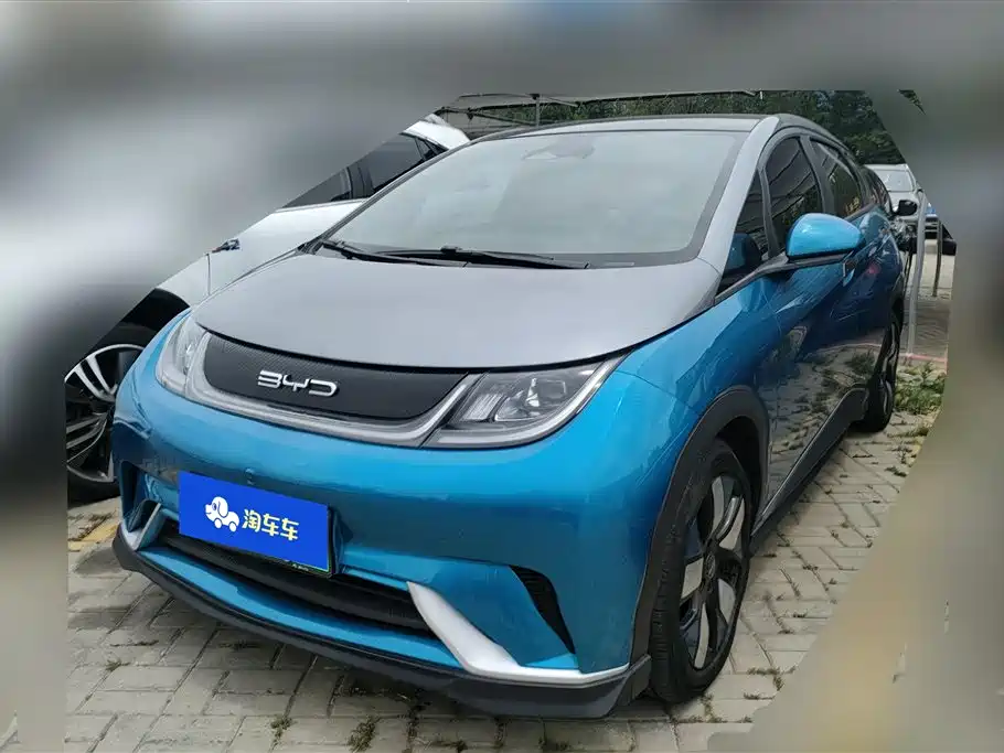 BYD Dolphin 2021 401km Knight Edition