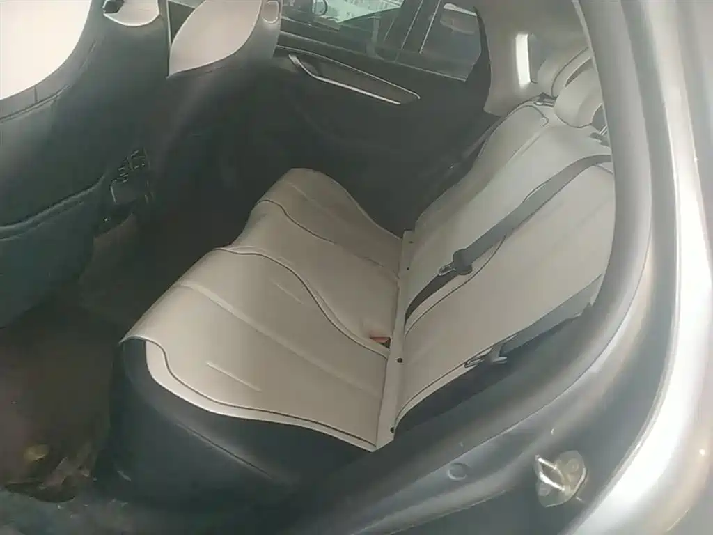 BYD Destroyer 05 2024 Glory Edition DM-i 55KM Luxury фото 17