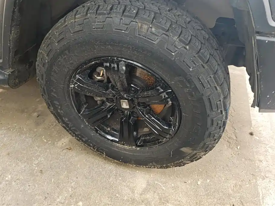 Tank 300 2023 Off-Road Edition 2.0T Conqueror фото 6