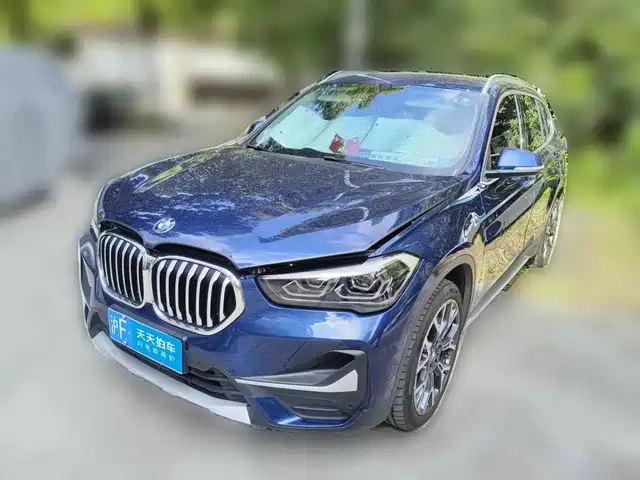 BMW X1 2020 xDrive25Li Premium Edition — фото 1