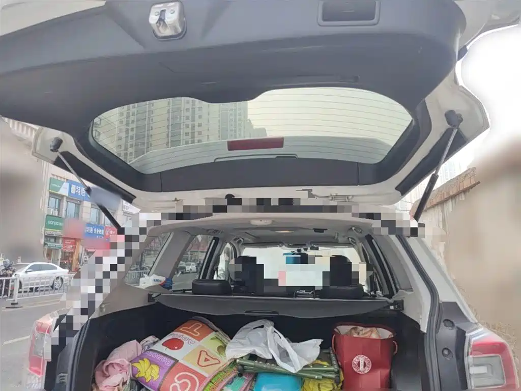 Subaru Forester 2016 2.0i Fashion Navigation Edition фото 10