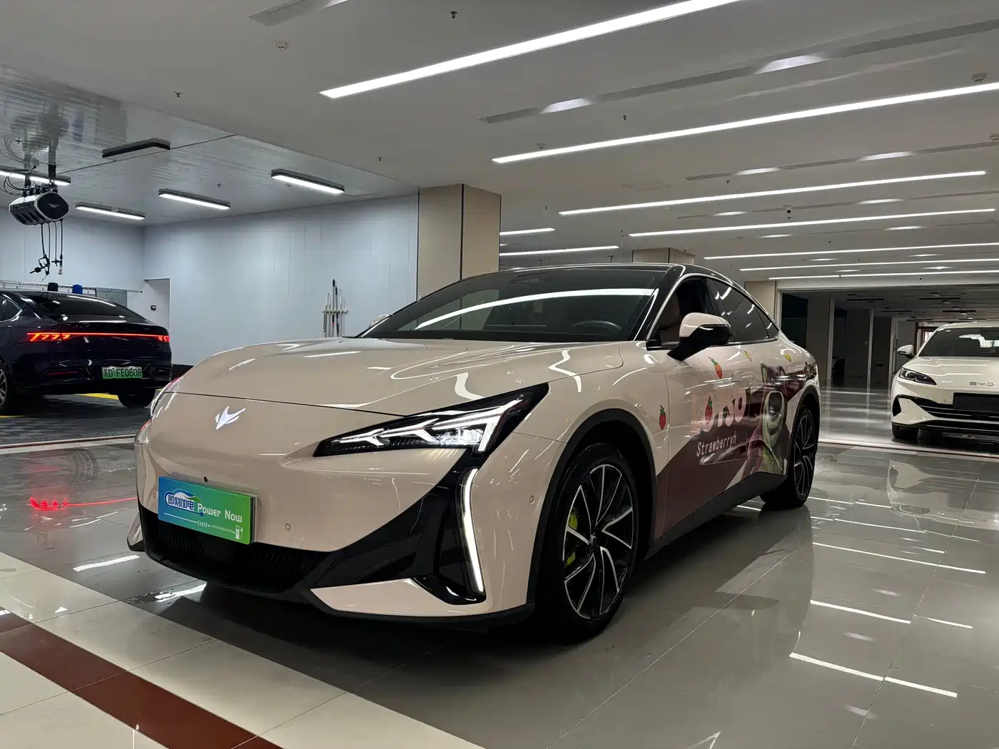 ARCFOX EXTREME FOX POLAR FOX ALPHA S5