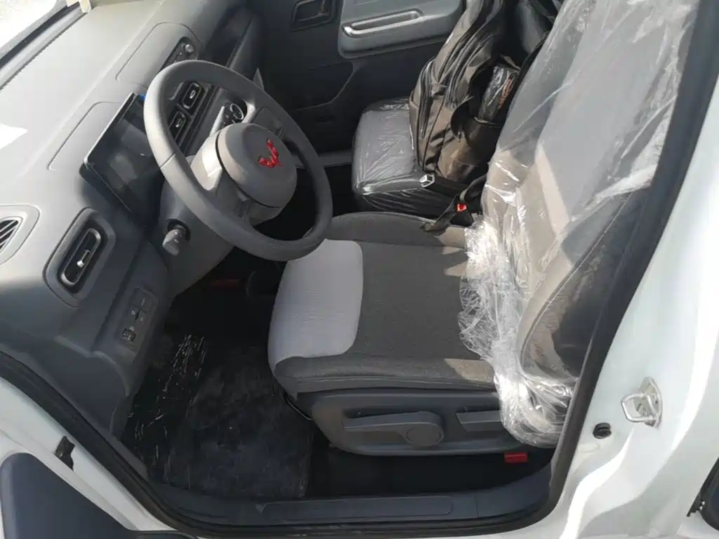 Wuling Motors Wuling Zhiguang NEV 2026 2025 Model 305km Base Version
