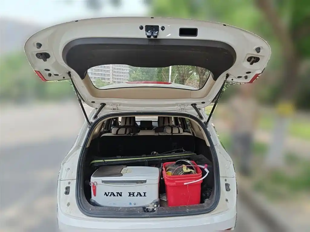 Baojun 310W 2021 2017 1.5L Manual Comfort China VI