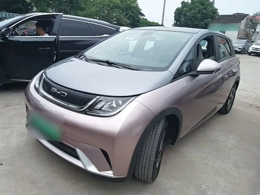 BYD Dolphin 2021 Model 405km Fashion Edition