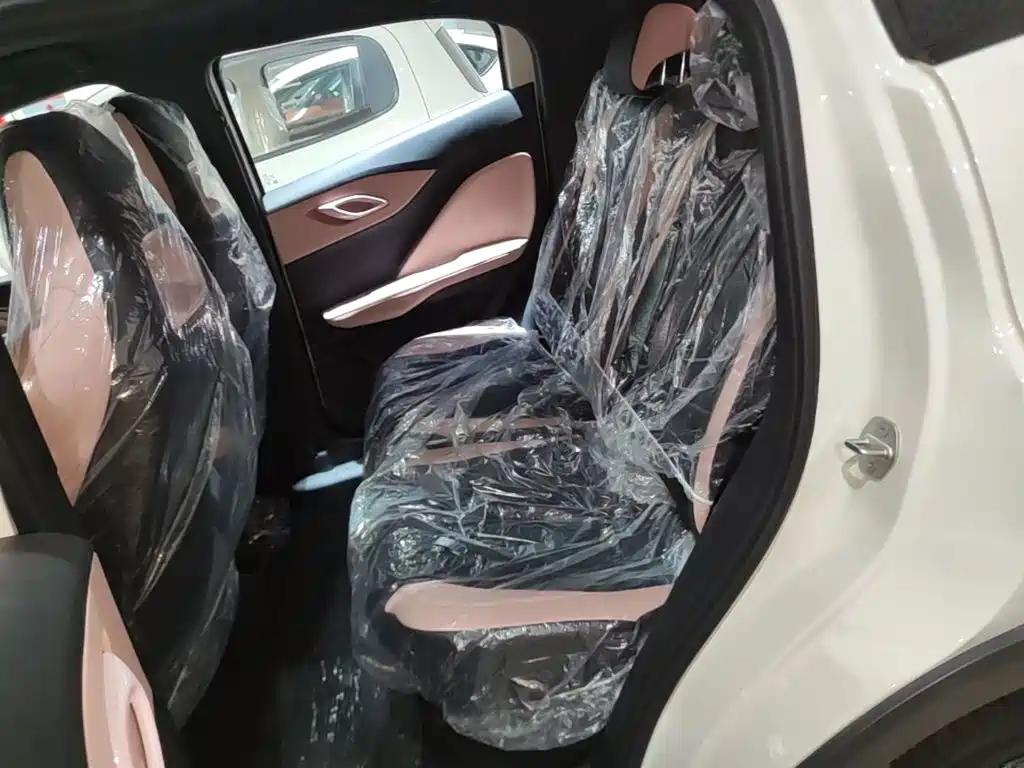 BYD Seagull 2026 2025 305km Vitality