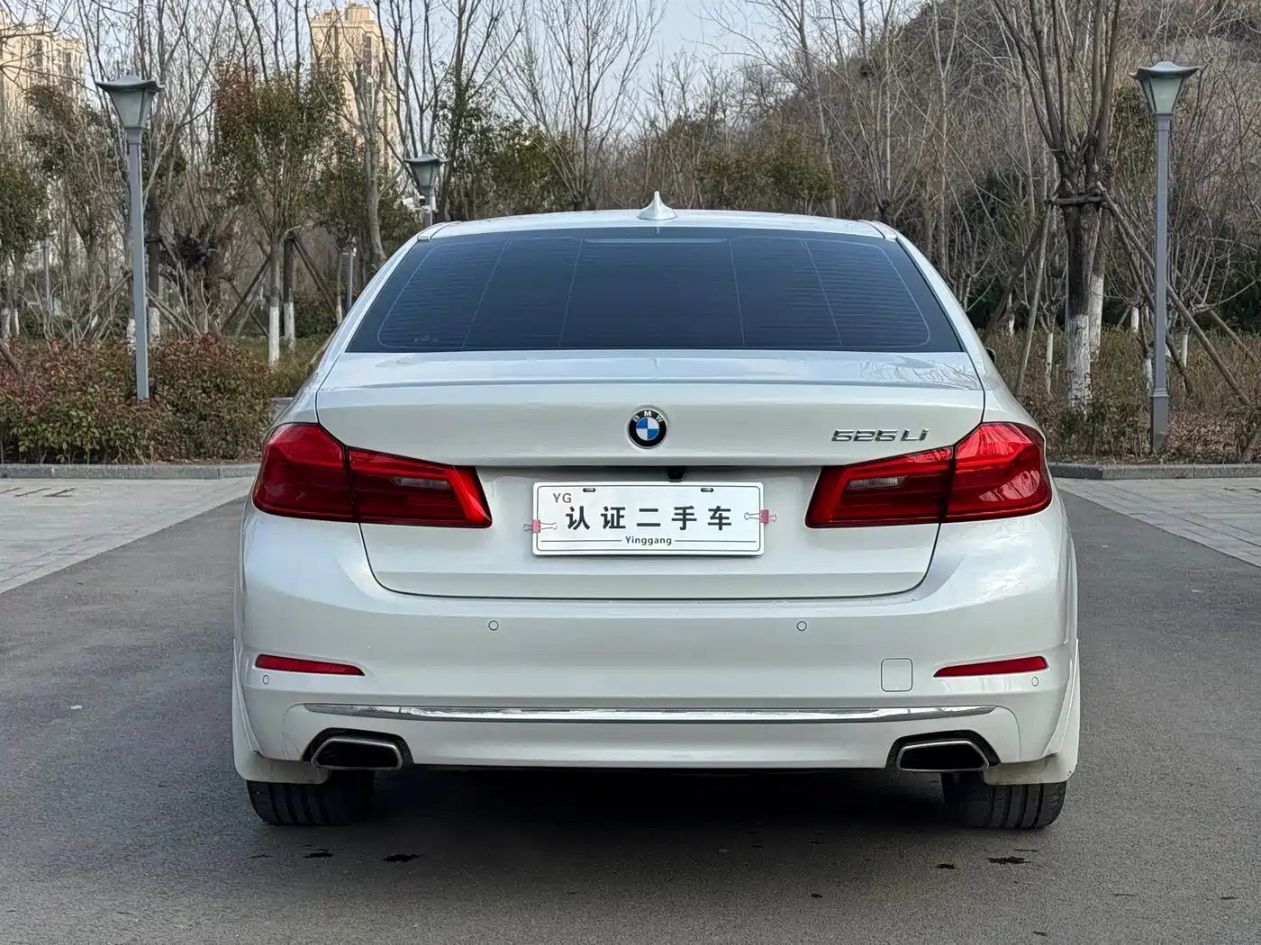 BMW 5 Series 2019 525Li Luxury Package фото 10