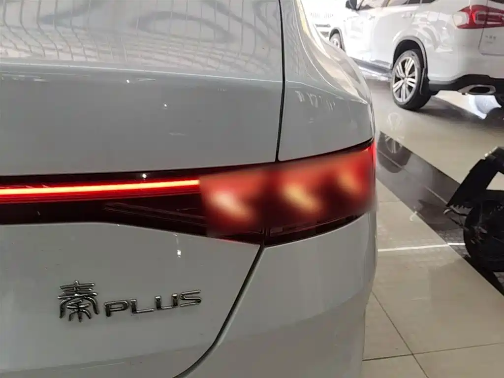 BYD Qin PLUS 2023 Champion Edition DM-i 55KM Leading фото 8