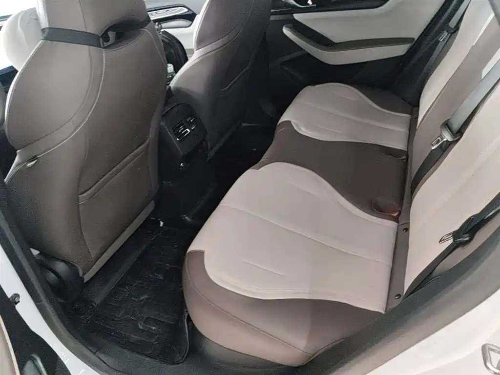 BYD Qin PLUS 2023 Champion Edition DM-i 55KM Leading фото 17