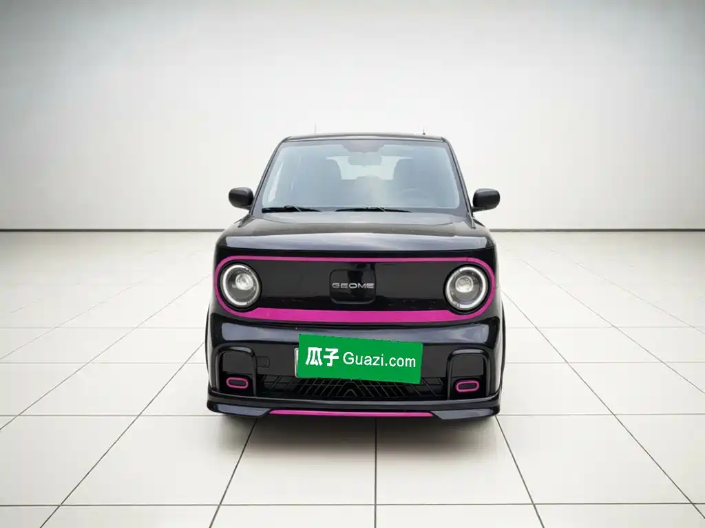 Geely Galaxy Panda 2025 2025 Model Year 210km Panda Kart