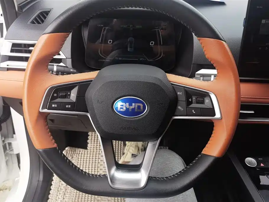 BYD e2 2021 Luxury Edition фото 15