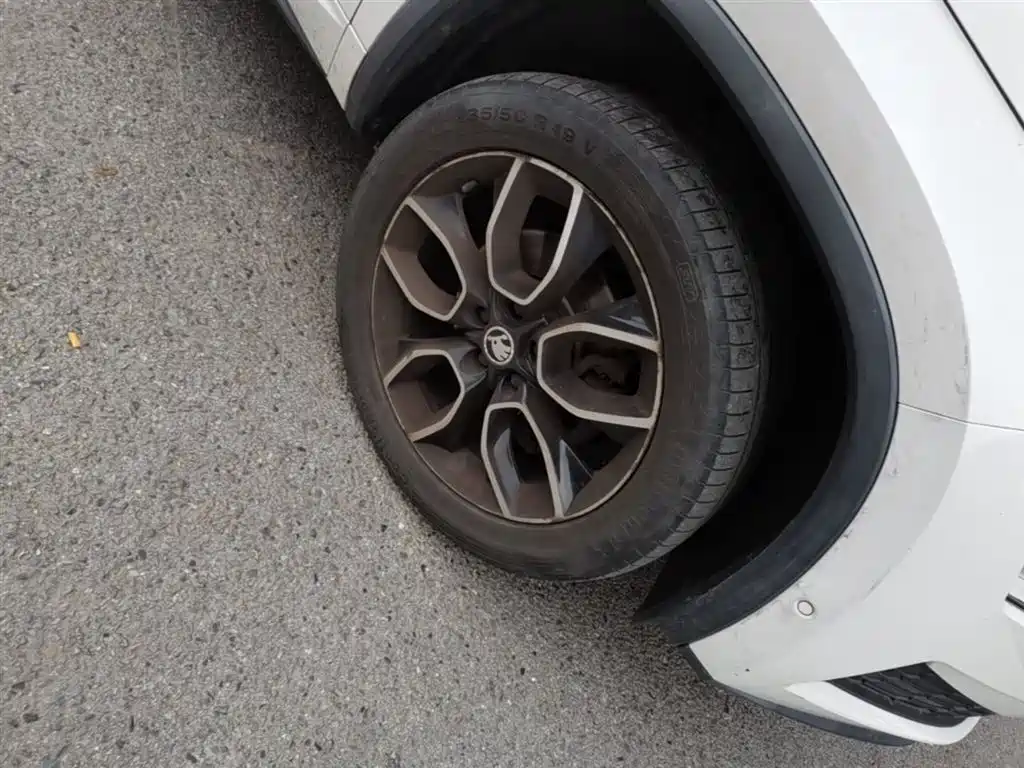 Škoda Kodiaq GT 2019 TSI330 2WD Luxury Edition China VI фото 14