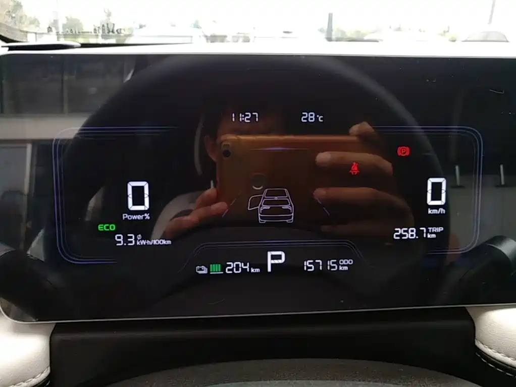 Geely Geometry E Firefly 2024 2024 Model 301km Starlight