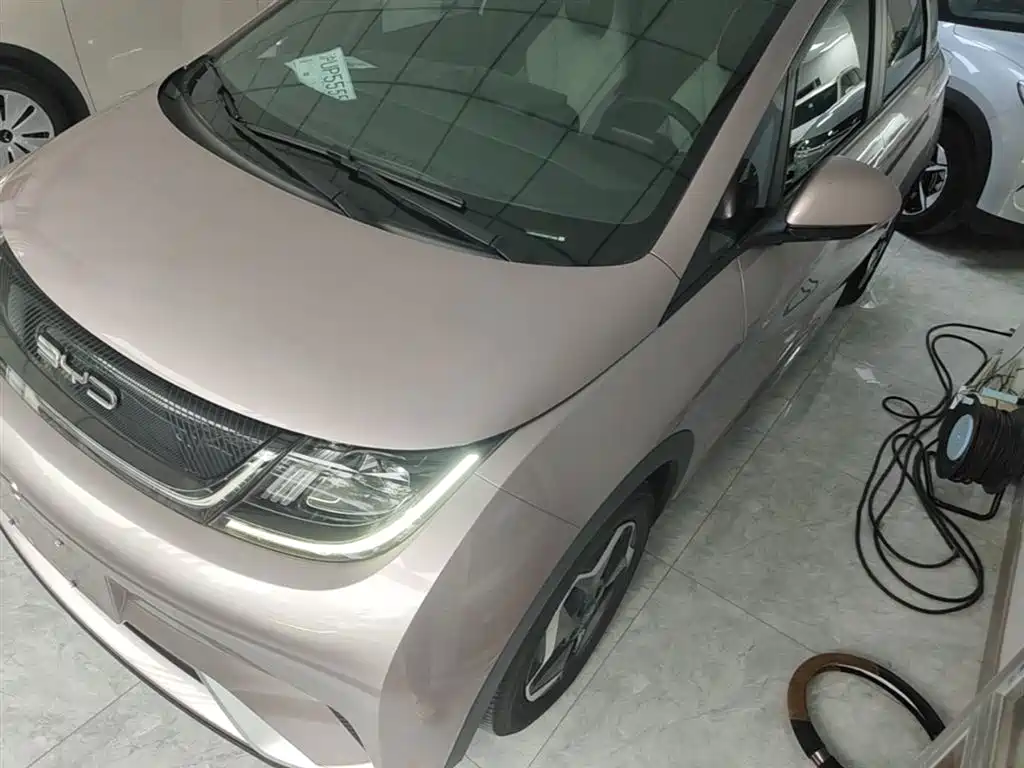 BYD Dolphin 2021 Model 405km Fashion Edition