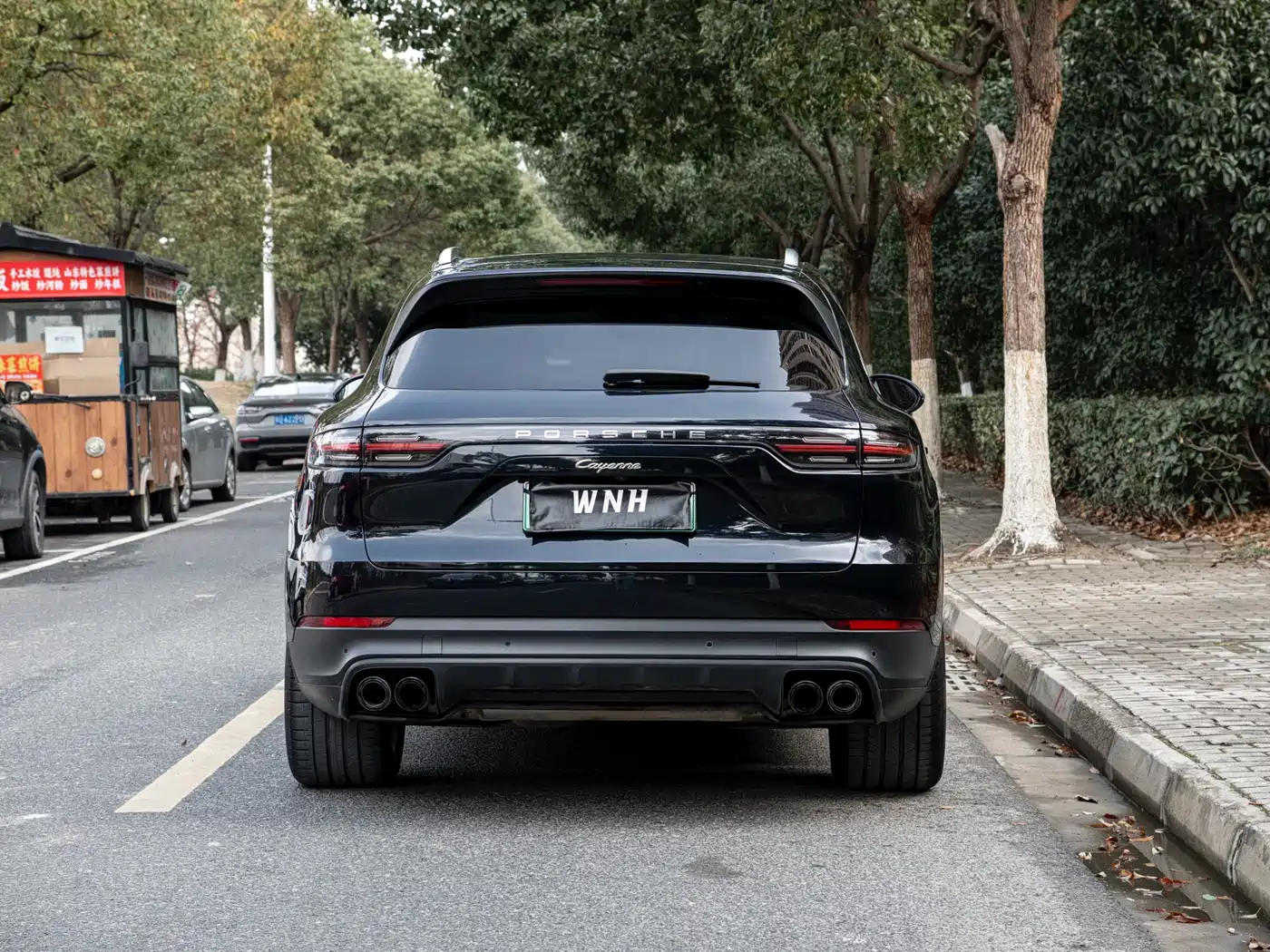 PORSCHE CAYENNE NEW ENERGY