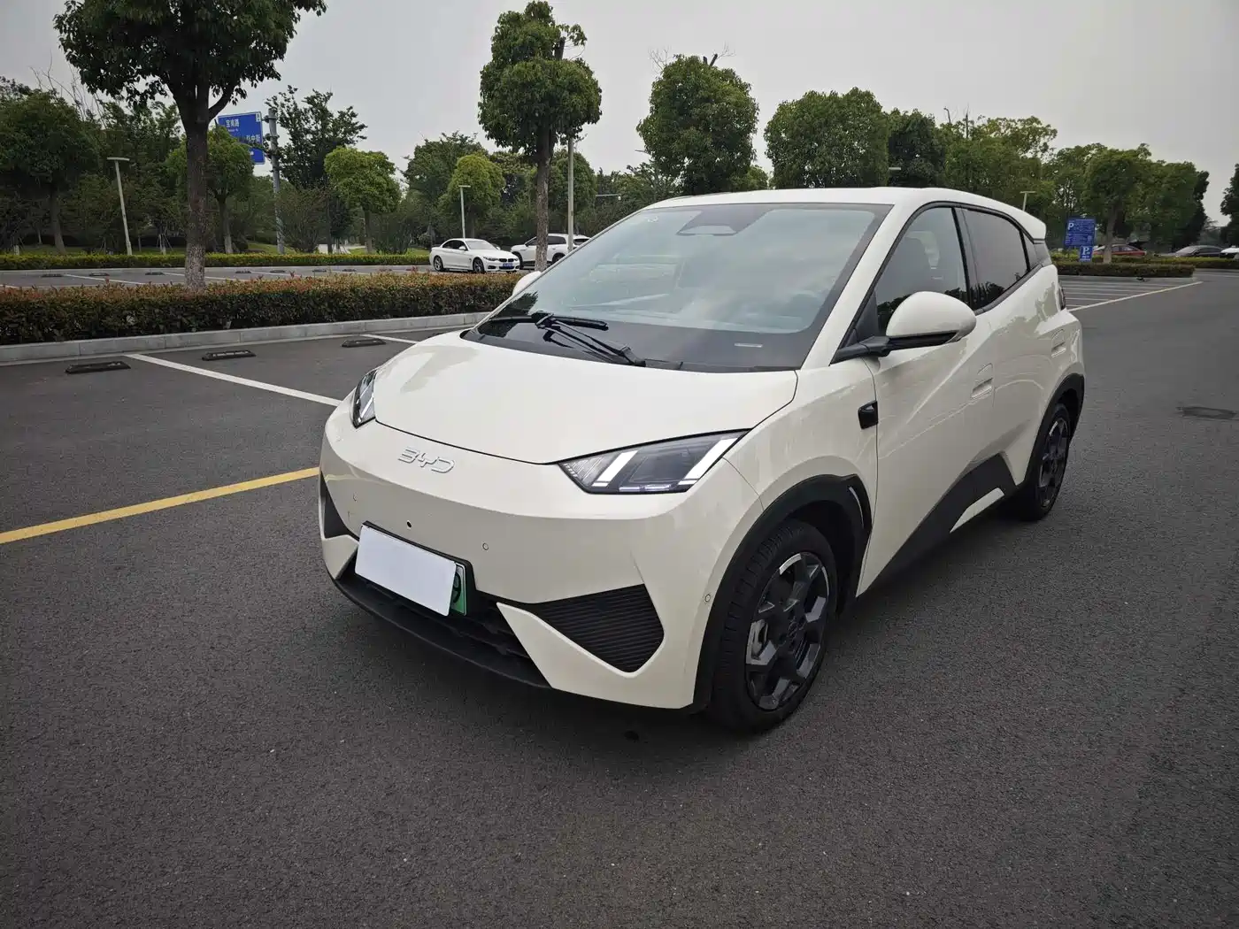 BYD Seagull 2025 Smart Driving Edition 405km Flying Edition