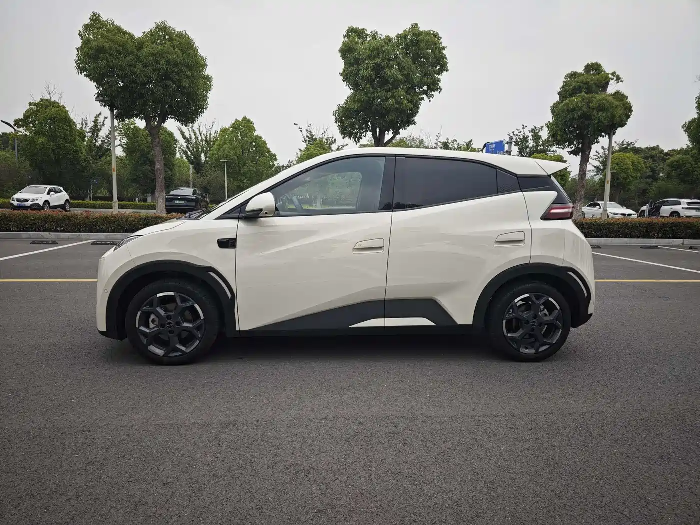BYD Seagull 2025 Smart Driving Edition 405km Flying Edition фото 4