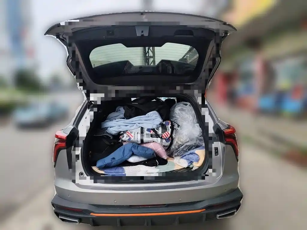 Haval Shenshou 2022 2022 1.5T Smart Leader Edition