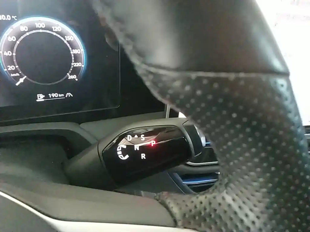 Volkswagen Magotan 2024 2024 380TSI DSG Luxury Edition (Daimai Package)