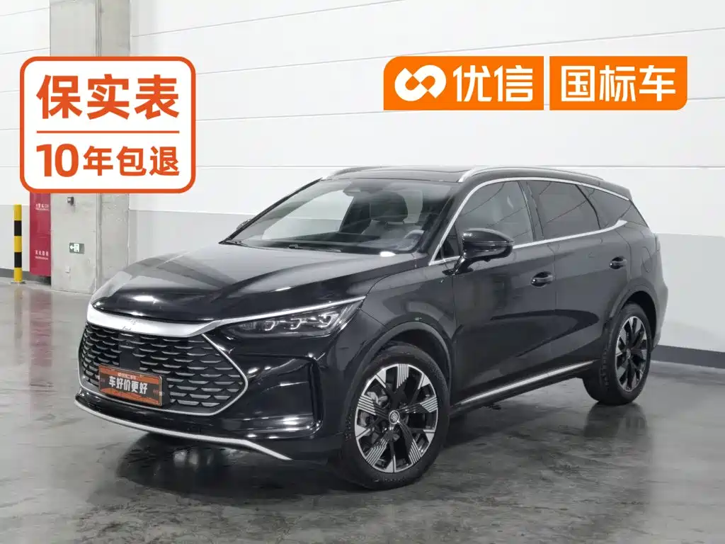 BYD Tang New Energy 2024