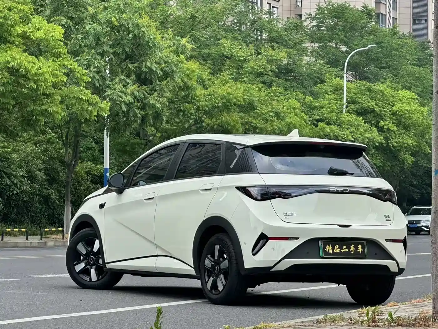 BYD Dolphin 2025 Smart Drive Edition 410km Fashion Version фото 6
