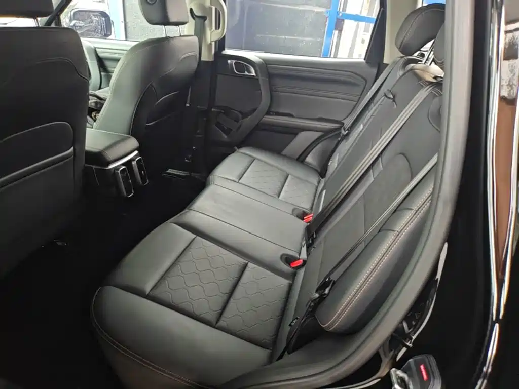 Haval Big Dog 2025 2024 1.5T DCT Border Collie Edition