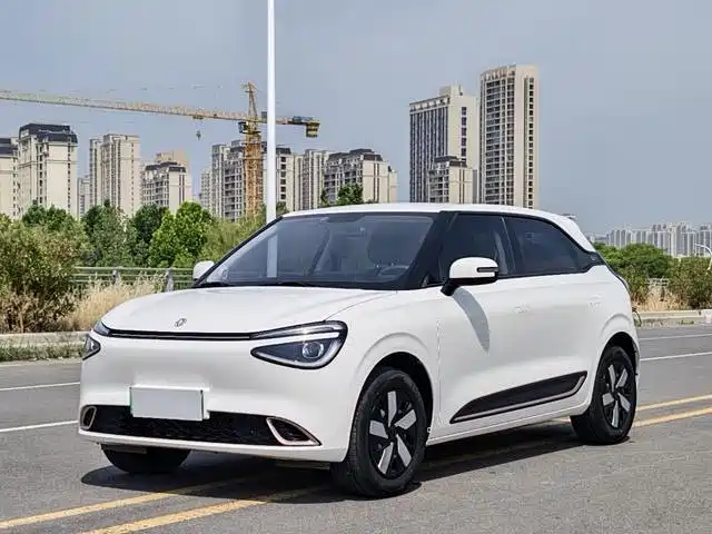 Dongfeng Yipai Nano 01 2024 Renewal Edition 430 Max Smart+