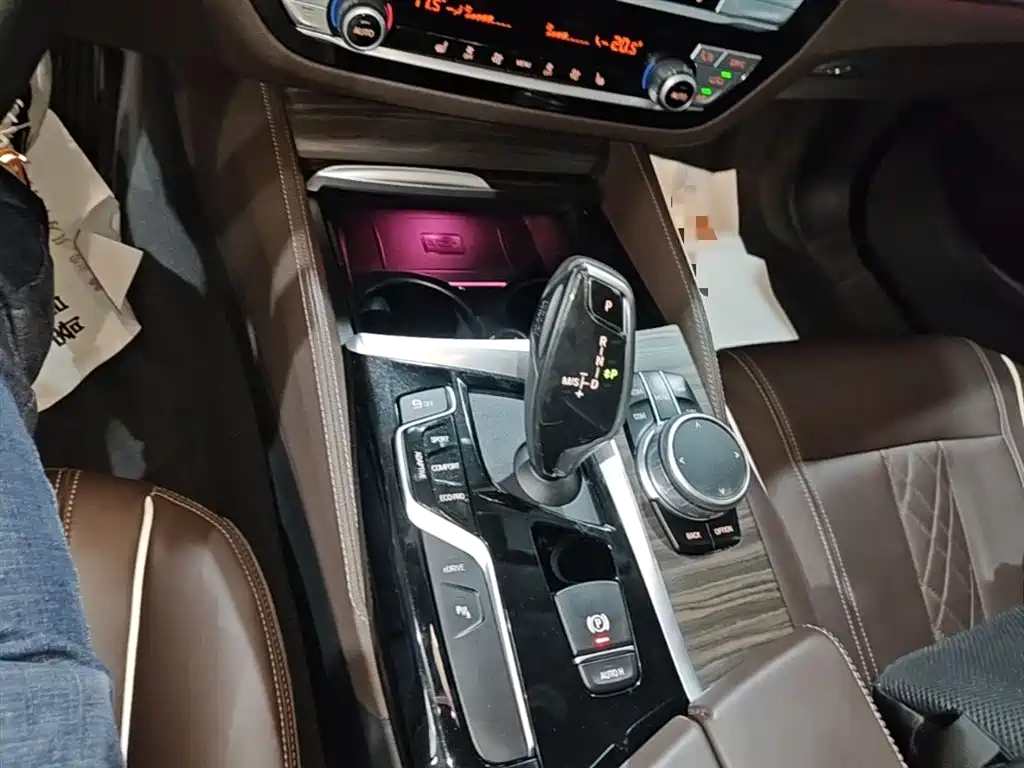 BMW 5 Series New Energy 2019 Facelift 530Le Luxury Package фото 14