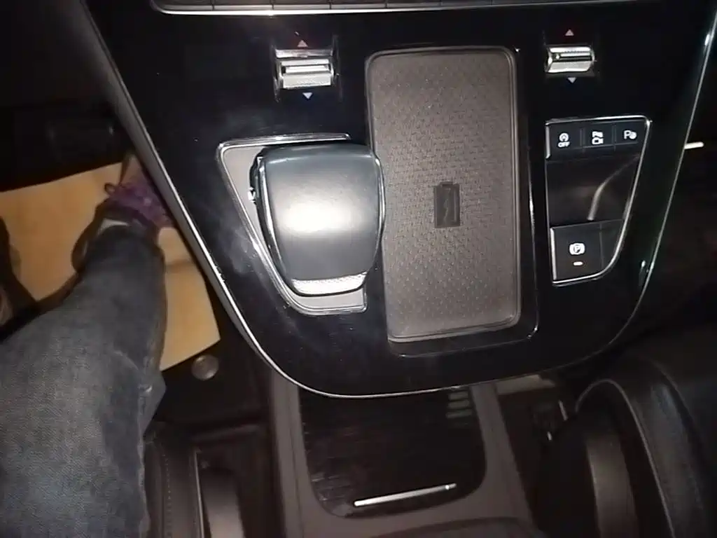 Hongqi HQ9 2023 2.0T Smart Connect Flagship фото 14
