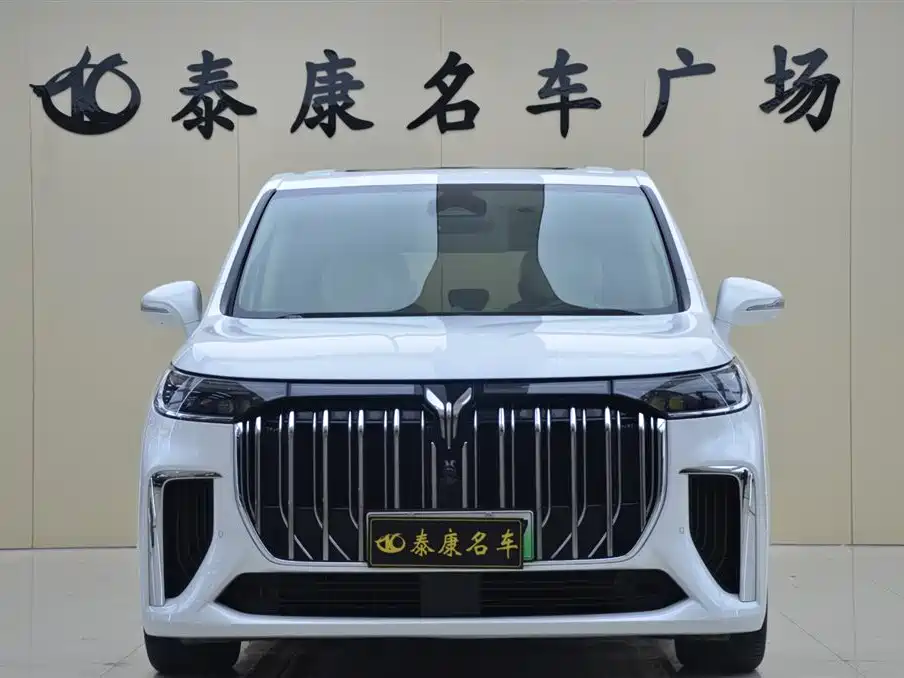 Voyah Auto Voyah Dreamer 2024 PHEV Extended Range Flagship Edition фото 2