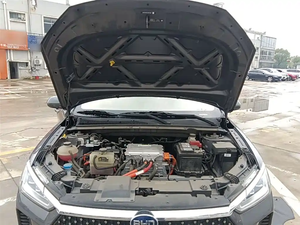 BYD e2 2021 Luxury Edition фото 20