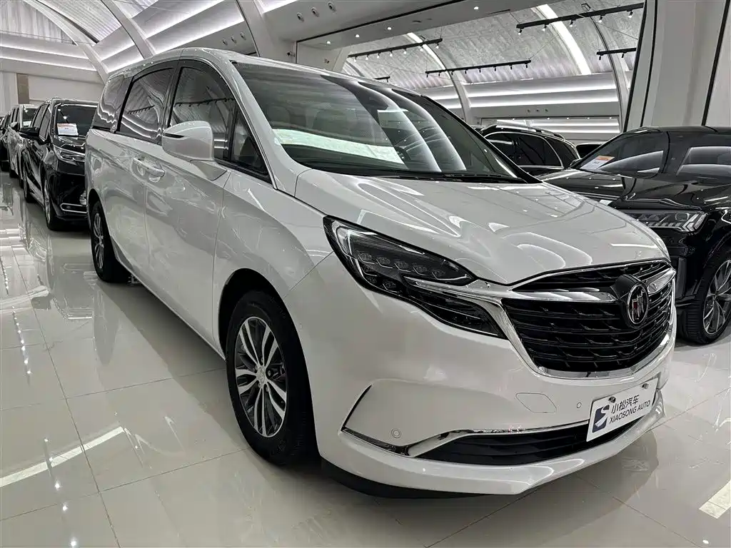 Buick GL8 2022 ES Landmark 653T Premium фото 3