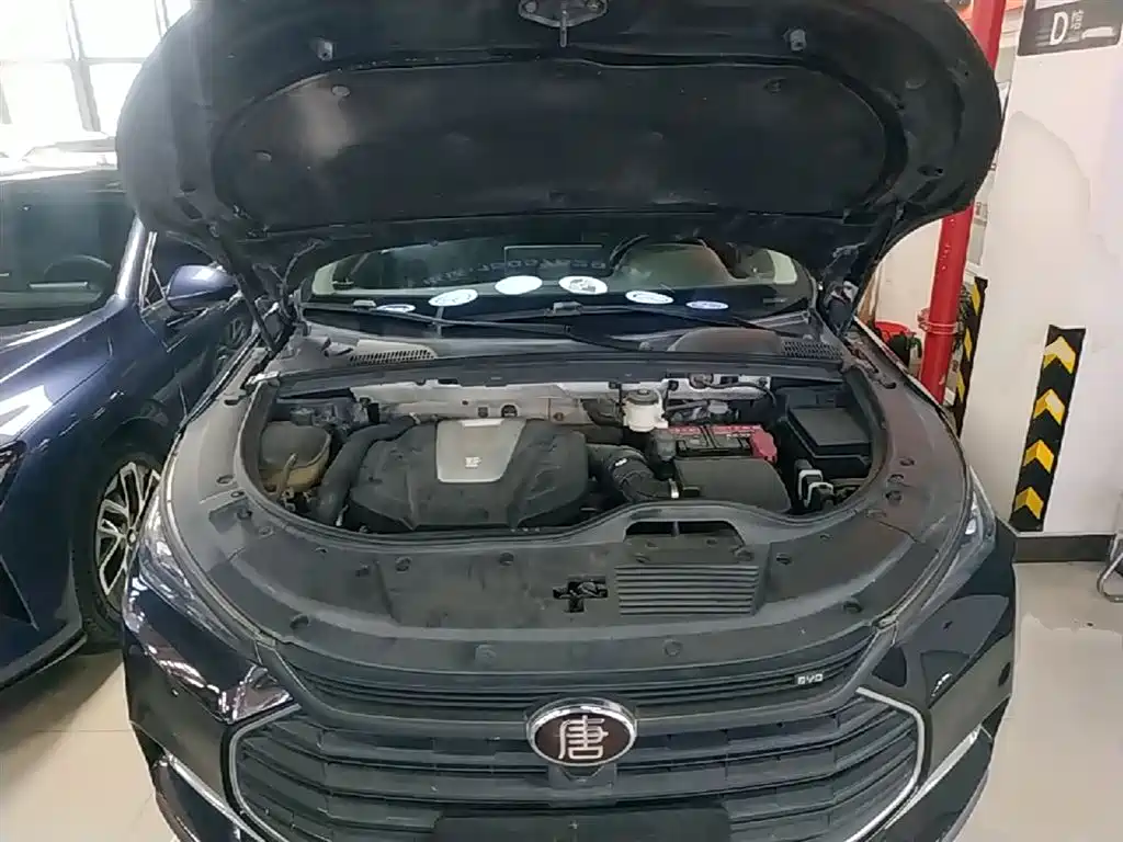 BYD Tang 2019 2.0T Automatic Smart Connect Honor 5-seater China VI фото 16