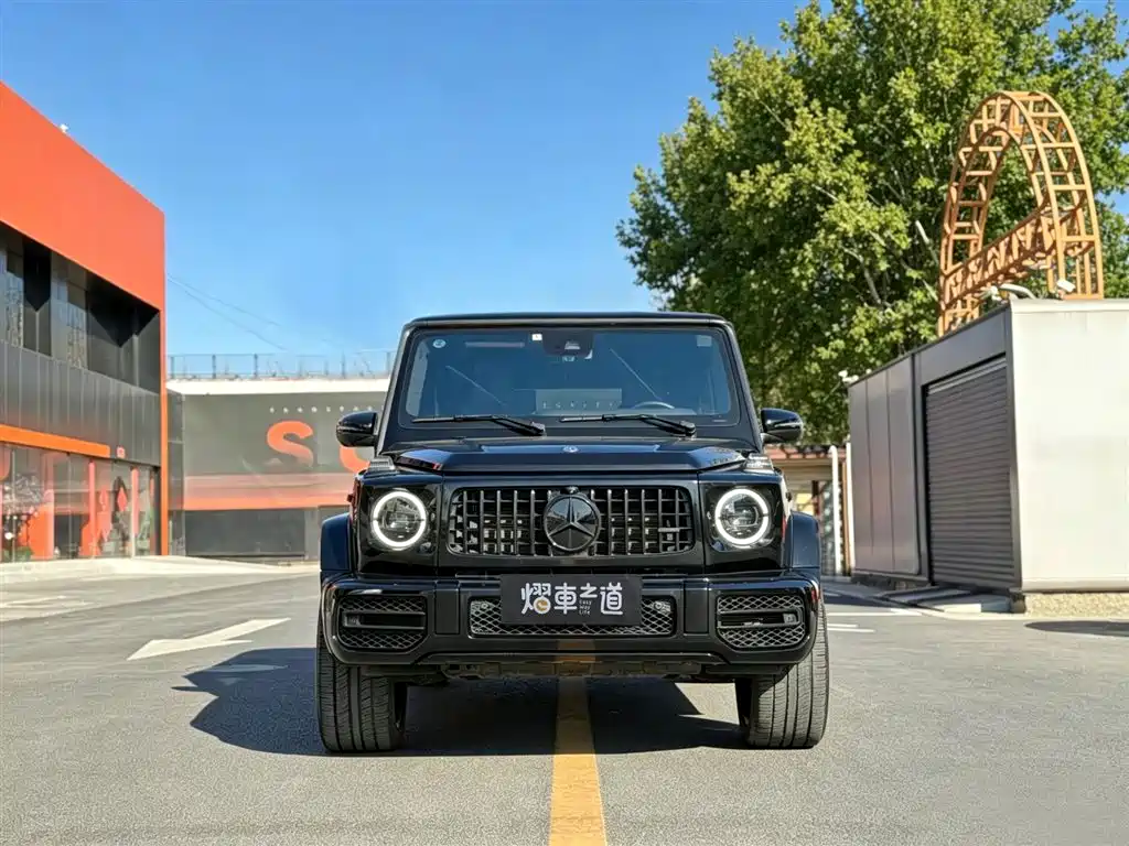 Mercedes-Benz G-Class 2019 G 500 фото 2