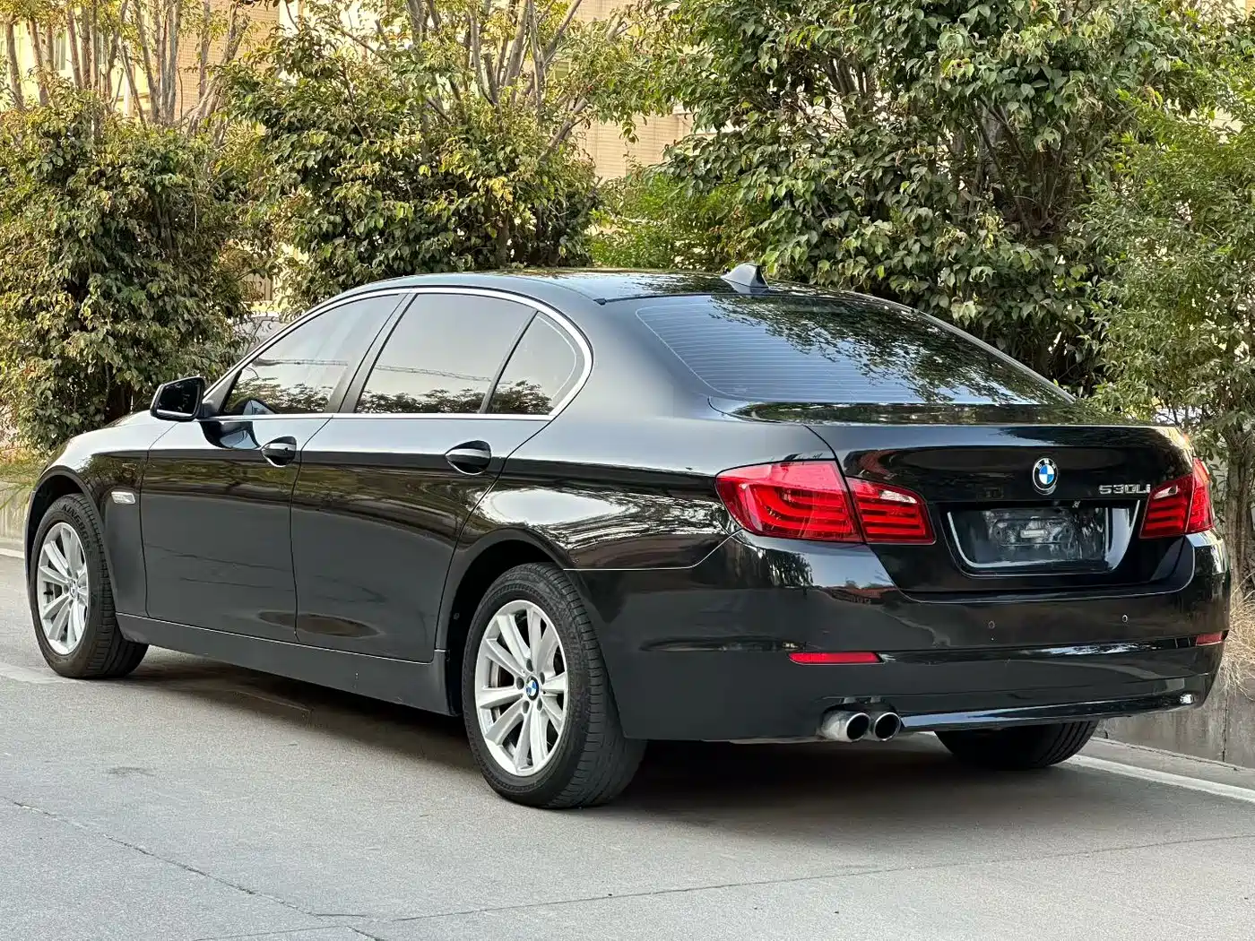 BMW 5 Series 2013 525Li Luxury фото 4