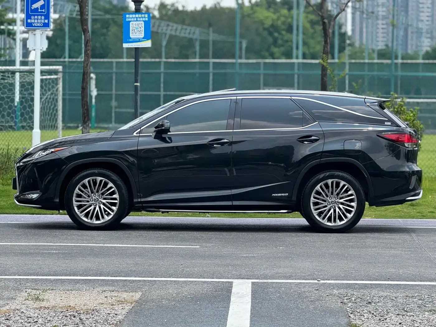 LEXUS RX